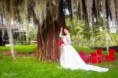 /album/fotogaleria/mg-9402-editar-jpg/